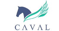 Caval - profesjonalna fizjoterapia koni